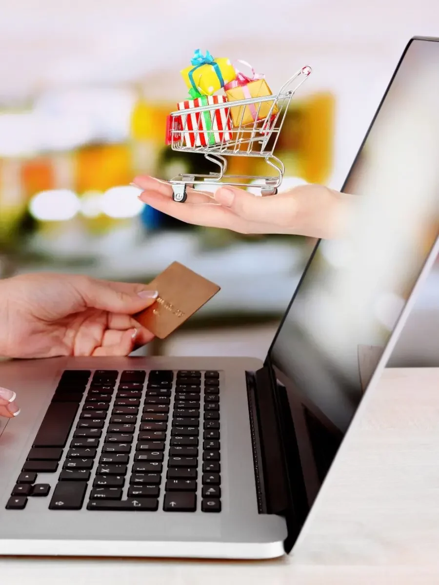 e-commerc cc Website building and E-commerce website: credit card payment